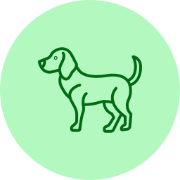 Pet Care